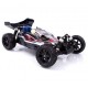 Spirit N2 Nitro 1:10 2.4GHz 4WD - R0070