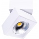 MAXLIGHT C0106 LAMPA SUFITOWA ARTU