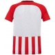 Koszulka Nike Junior Striped Division 894102-658