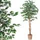 Sztuczne drzewko drzewo fikus 170 cm
