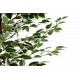 Sztuczne drzewko drzewo fikus 185cm